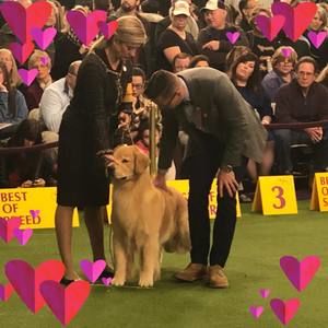 Meet your Posher, Amy